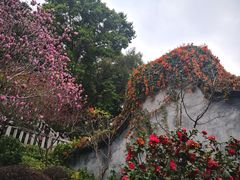 -乌山风景区