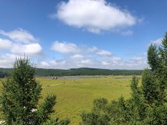 -塞罕坝国家级自然保护区