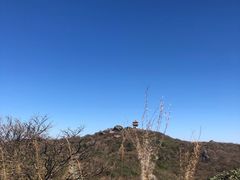 -大围山国家森林公园