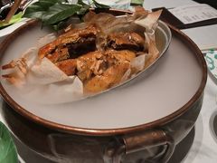 -桂满陇·海市蜃楼·黑金(国金店)