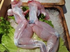 美蛙-九鼎轩脆毛肚火锅(三钢里店)