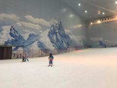 -哈尔滨热雪奇迹