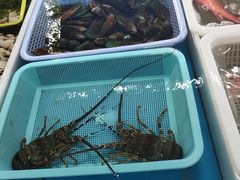 -南沙十九涌渔人码头-南门