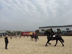 iphone_upload_pic-松声马术俱乐部