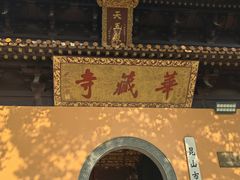 -亭林园-华藏寺