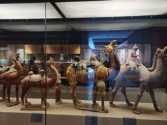 -西安大唐西市博物馆