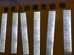 -陕西自然博物馆