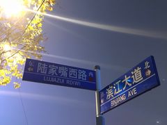 -陆家嘴空中步行连廊