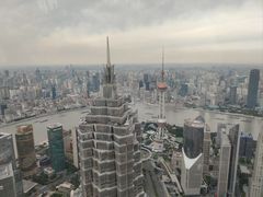 -上海柏悦酒店·世纪100牛排馆