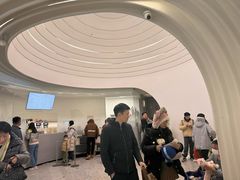 -喜茶(迪士尼小镇DP店)