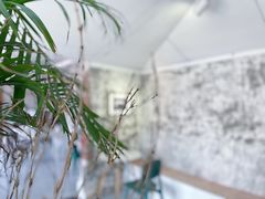 -边渡咖啡烘焙店(昙华林店)