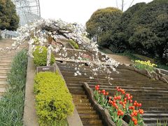 -南山植物园