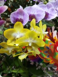 -今日陶艺(富力广场店)