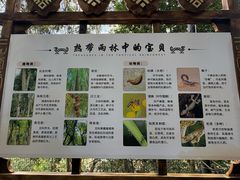 -海南槟榔谷黎苗文化旅游区