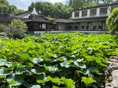 -上海醉白池公园