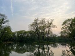 -西溪国家湿地公园