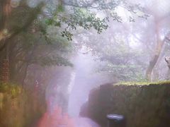 -普陀山风景区-佛顶山