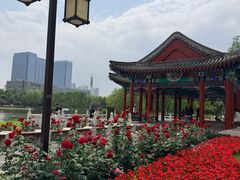 -西海子公园