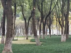 -重庆市江北嘴中央商务区中央公园