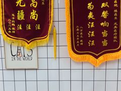 -半岛宠物医院24小时(科华中路店)