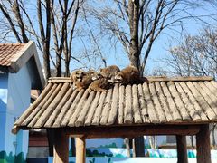 -石家庄市动物园