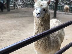 -杭州野生动物世界