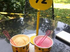 -莓园冰淇淋店
