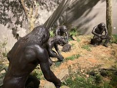 -北京周口店北京人遗址博物馆