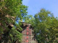 -汤旺河林海奇石景区