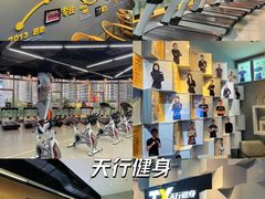 -天行健身＆天行拳馆跆拳道·格斗TXGYM