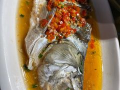 -印象鲵宴·张家界地标美食名片(溪布街店)