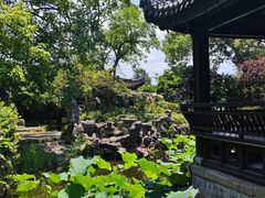-无锡蠡湖国家湿地公园-蠡园