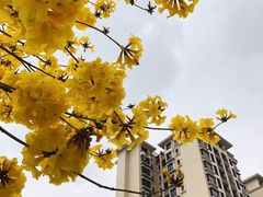 -南国桃园旅游度假区