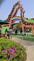 -季高兔窝窝亲子园(上海薰衣草公园店)