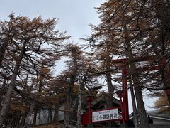 -富士山吉田線五合目