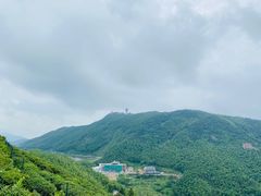 -长沙黑麋峰国家森林公园