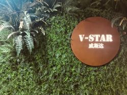 -V-STAR威斯达•高级私人定制