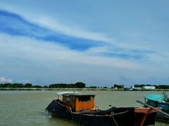 -大湾区中央湿地公园-十九涌