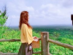 -东寨港红树林旅游区