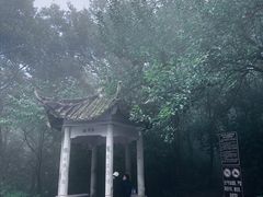 -紫金山山顶公园
