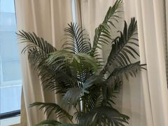 -岚魅儿·洗头头疗·按摩SPA(金光华店)