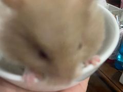 -Aqua Oasis 水天堂(常熟永旺店)