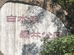 -白水寺森林公园