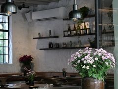 -Apollo·西班牙小酒馆(安福路店)