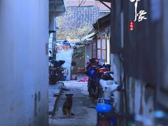 -召稼楼古镇