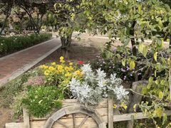 -石家庄市植物园