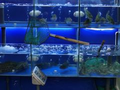 水产区-百家鲜·杭帮菜