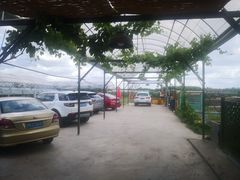 -美家乐农庄·露营·团建(大治路店)