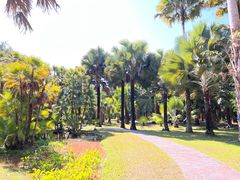 -中国科学院西双版纳热带植物园