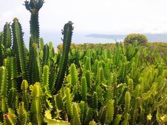 -亚龙湾热带天堂森林公园